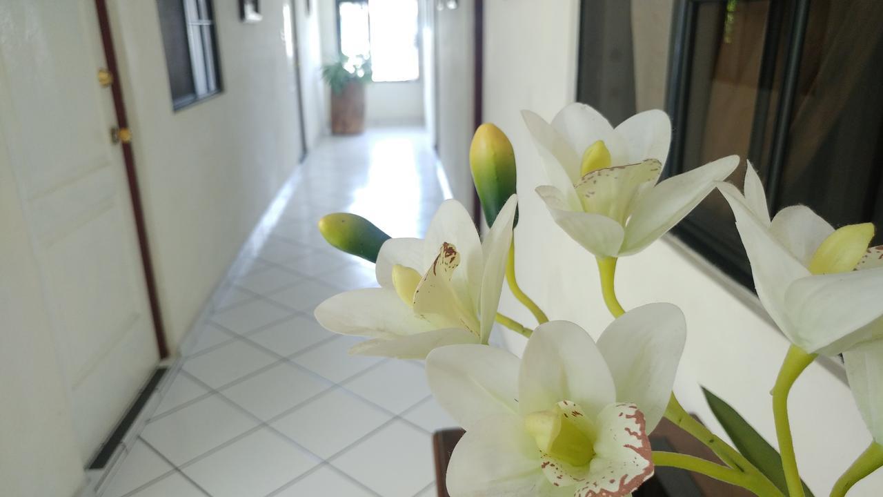 סאן סלבדור Hotel Armonia Hostal מראה חיצוני תמונה